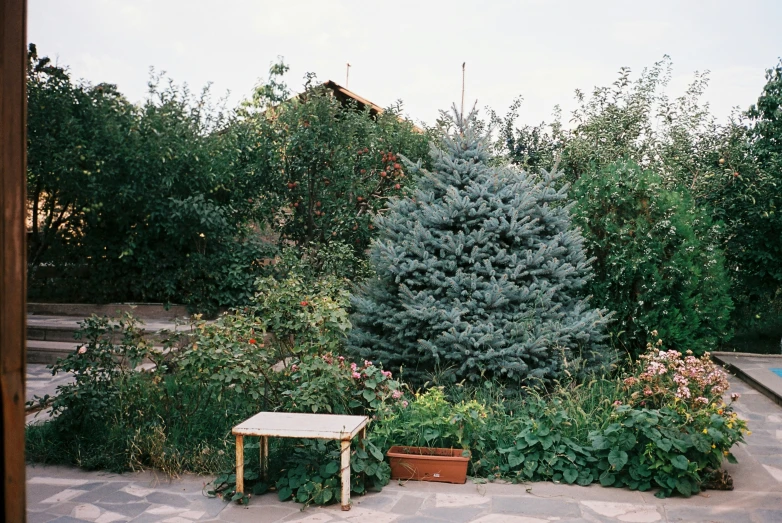 a small wooden bench sitting in the middle of a garden