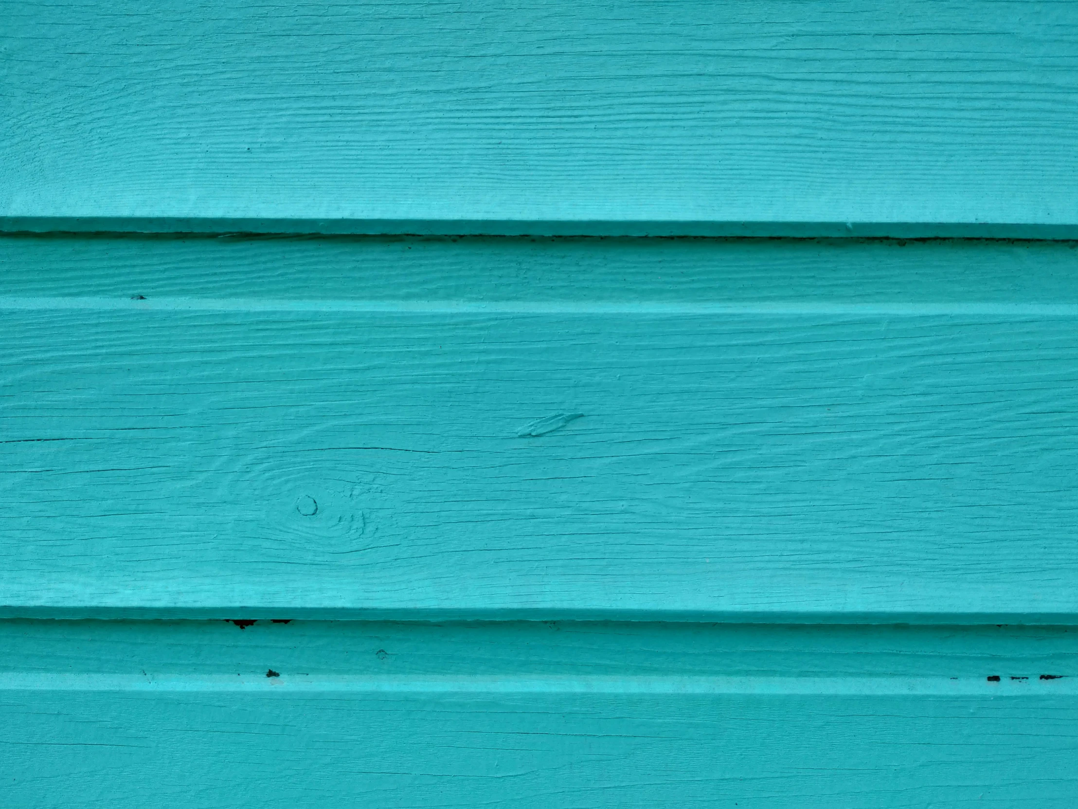 a bird sits alone on some bright blue painted boards