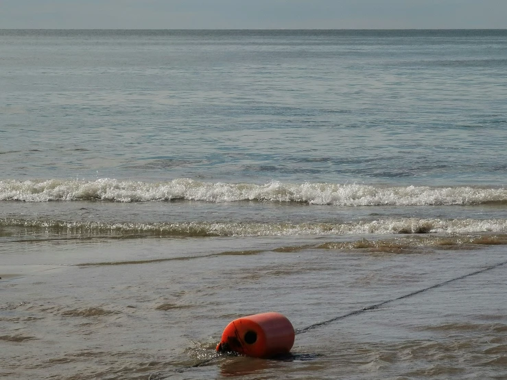 a buoy is laying in the ocean on a beach