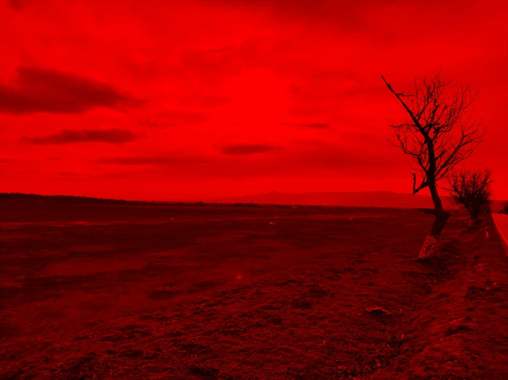 a red sunset in the middle of a desert