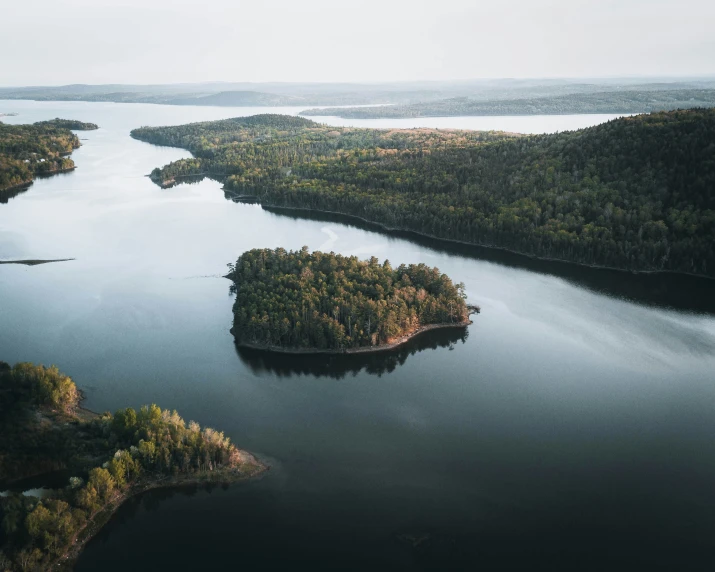 a large lake surrounded by trees next to a forest