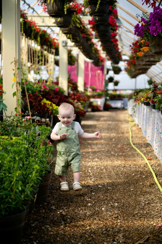 a toddler is holding his hands out while walking in front of potted flowers