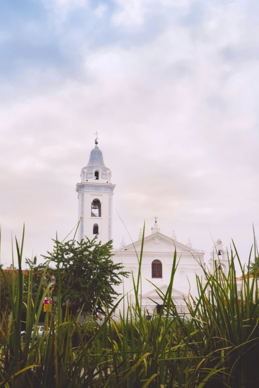 tall clock tower in middle of a green field