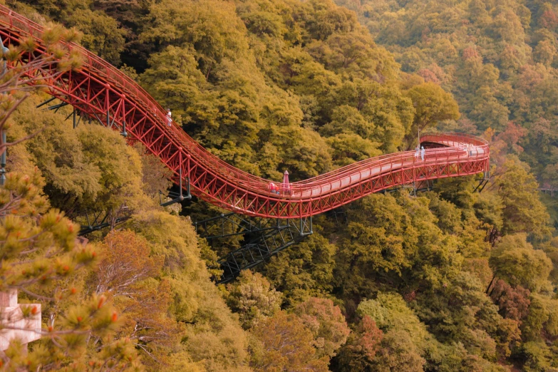 people walk down the walkway of an outdoor attraction in a park