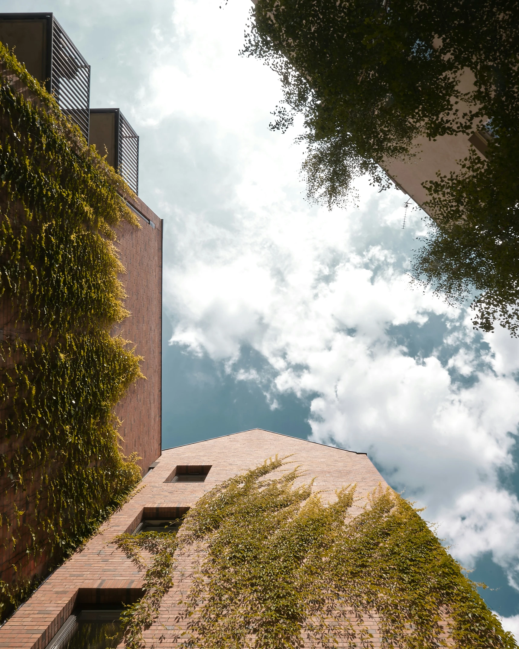 tall building near some trees with clouds