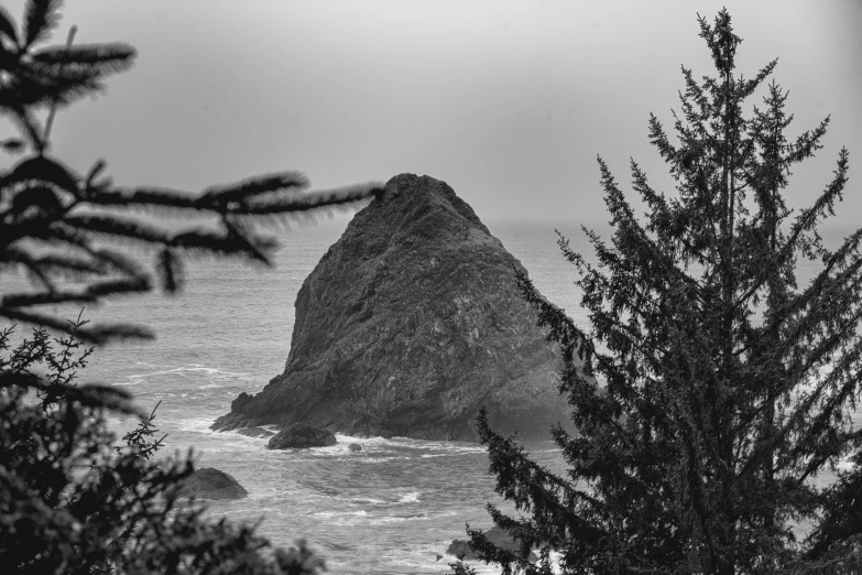 some evergreen trees and water on a cloudy day