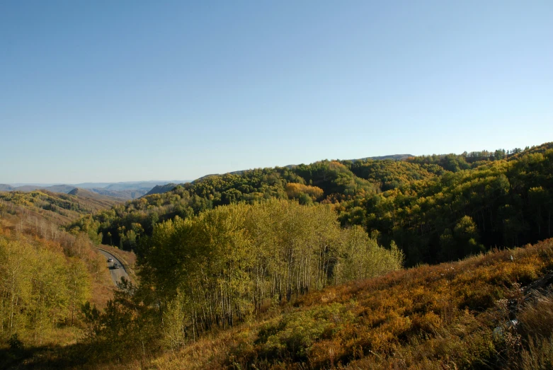 a wooded valley surrounded by mountains covered in foliage