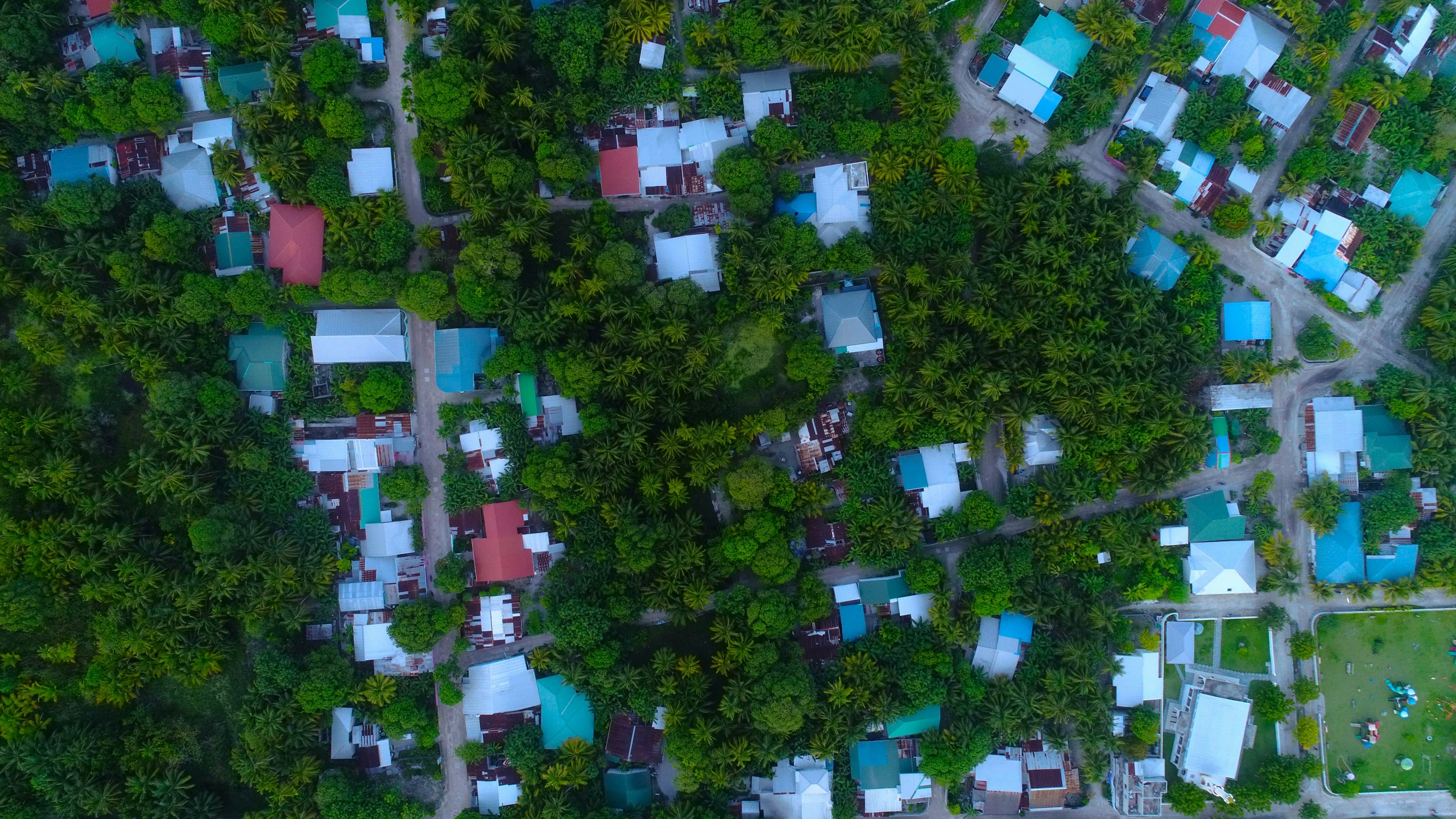 a city area with lots of green trees and houses