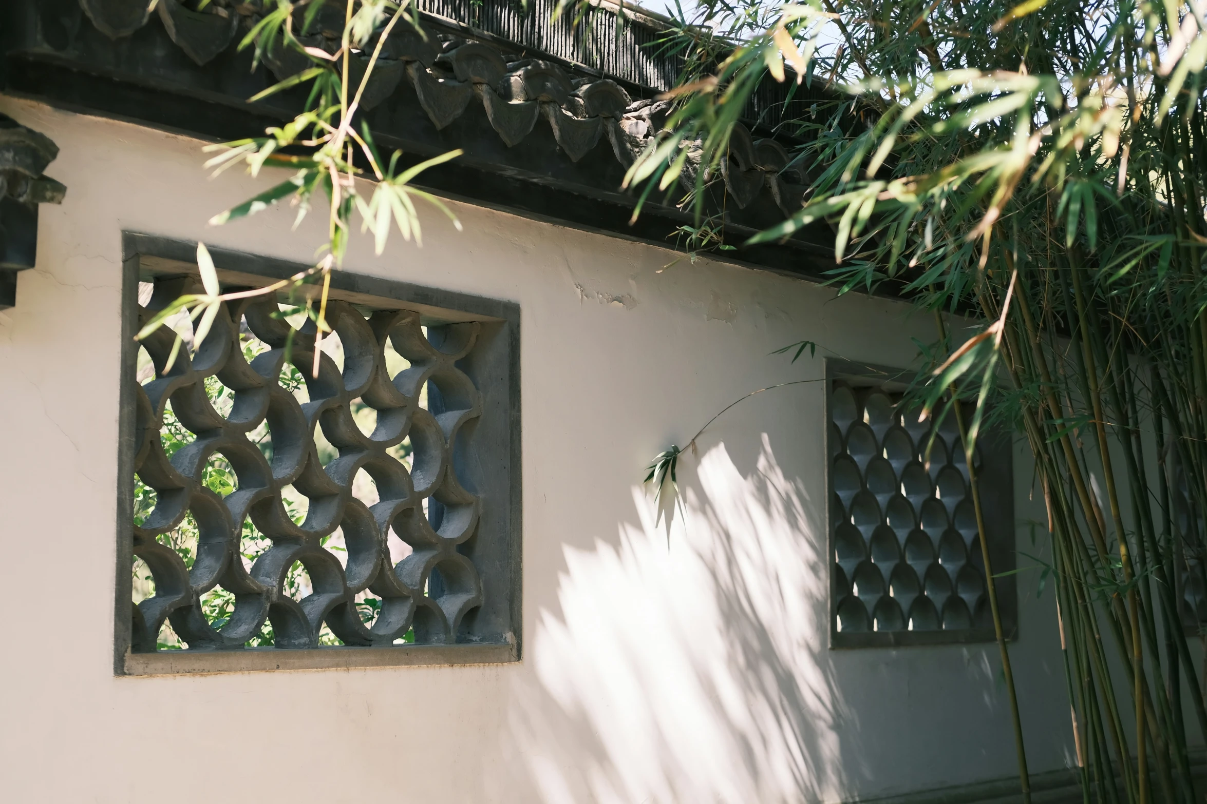 the windows on this home have lattices on them