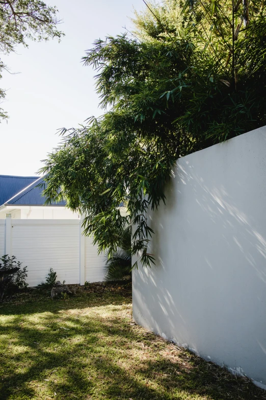 an image of a garden setting with a fence and lawn