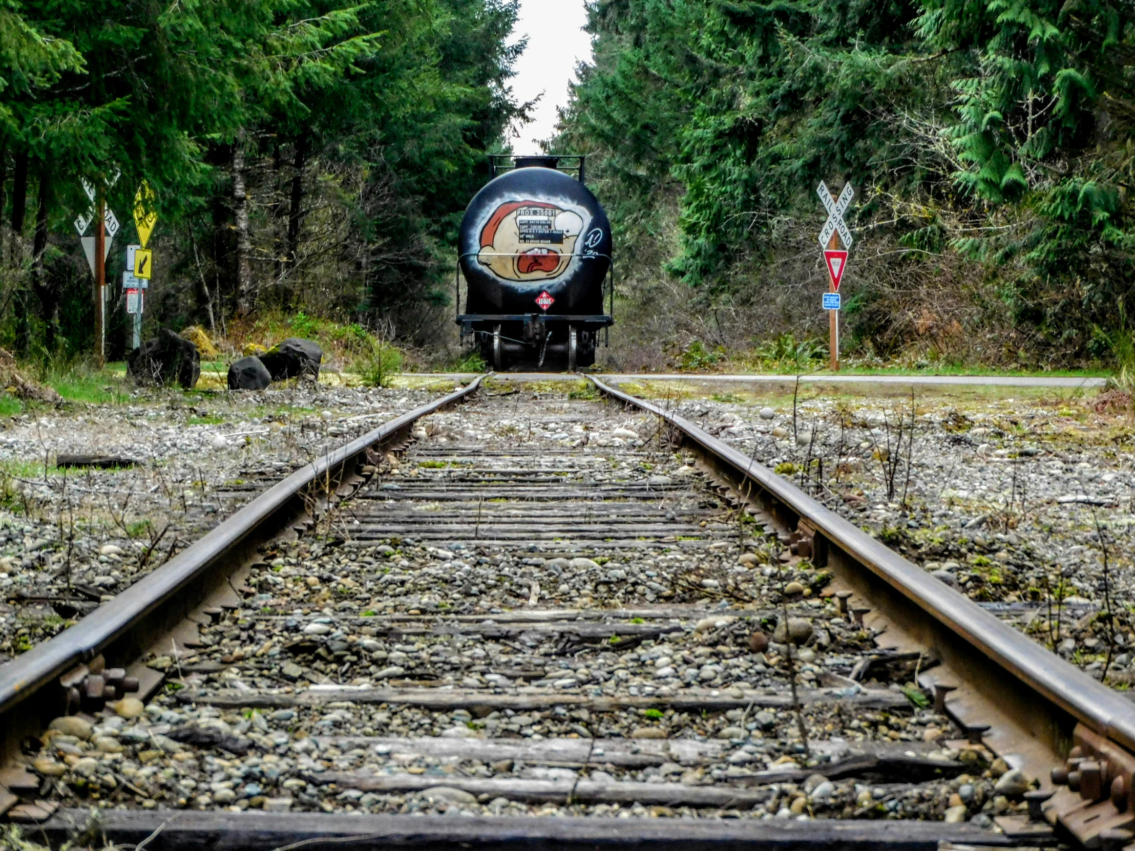 a train traveling through a forest surrounded by trees