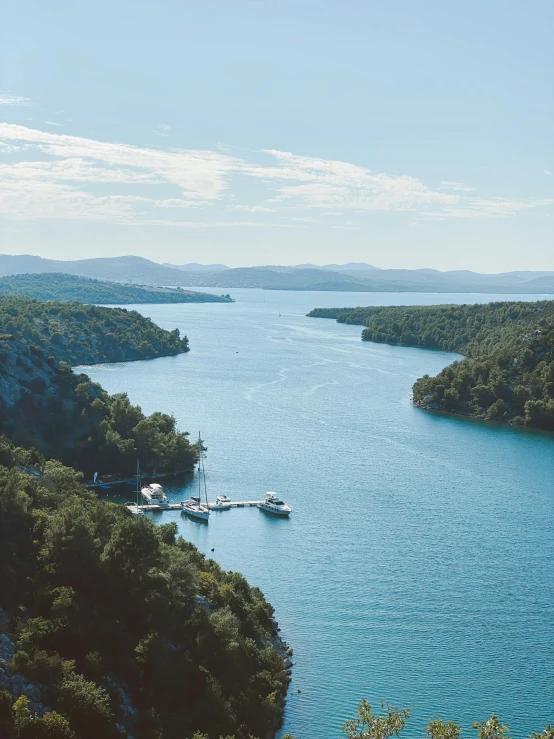 a large body of water surrounded by forest