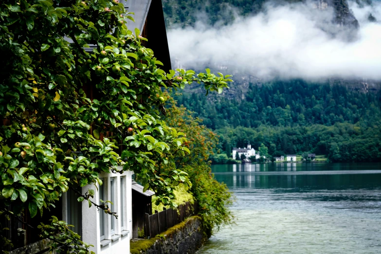 an image of lake water and building in the background