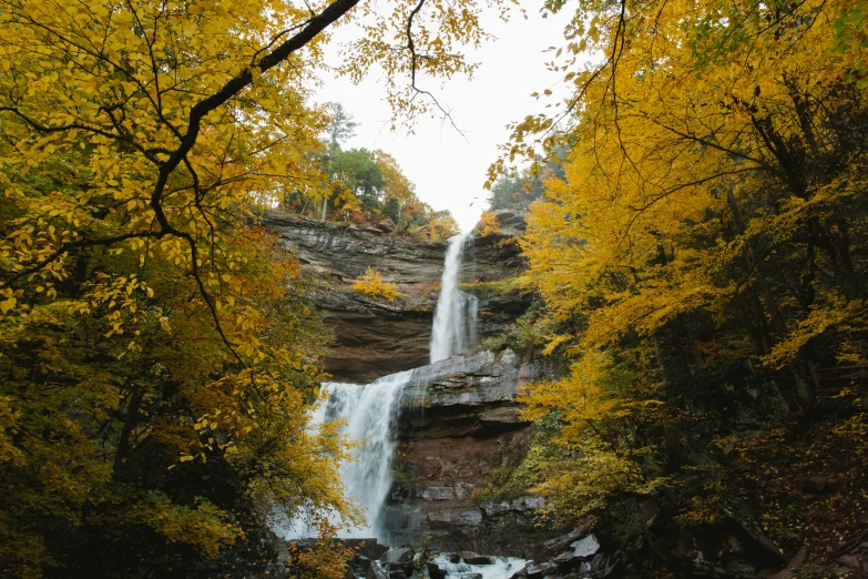 waterfall coming out from between rocks surrounded by autumn trees