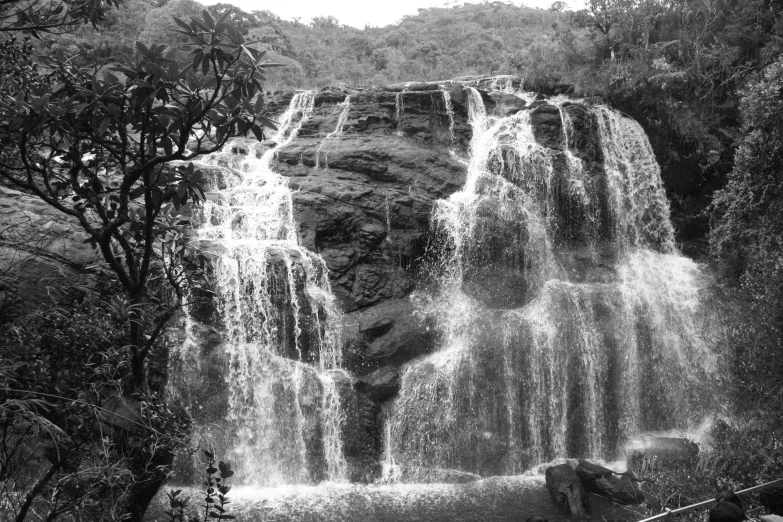 black and white po of a waterfall in the jungle