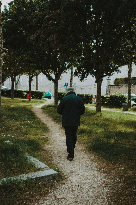 a person walking away from the camera down a dirt road in a park