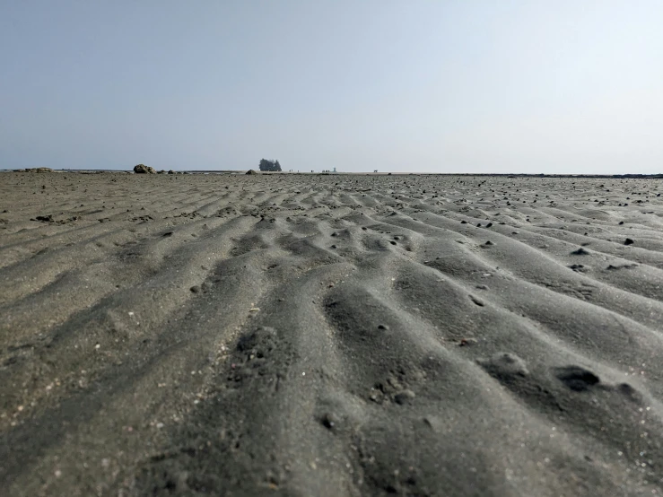 the view of an empty sandy beach with a single tree on top