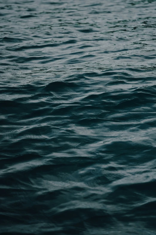 an orange floating on the surface of a body of water