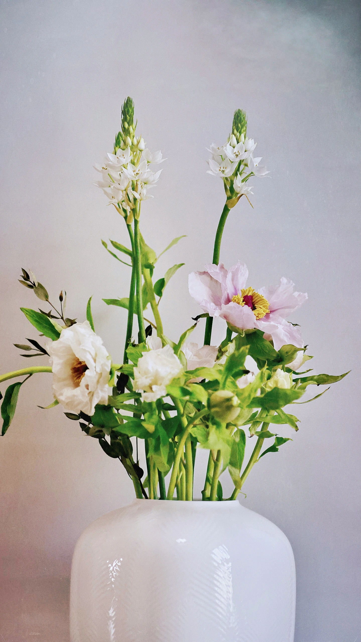 there are many flowers in the white vase