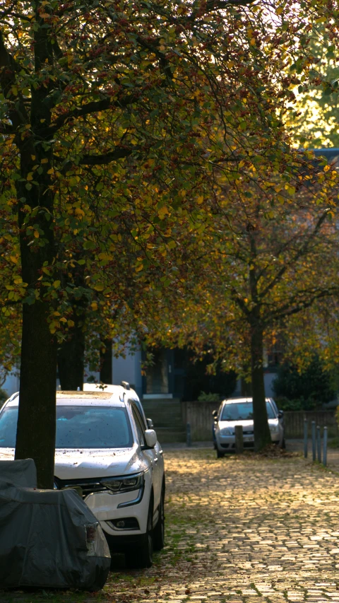 a parking lot is covered with cars next to trees