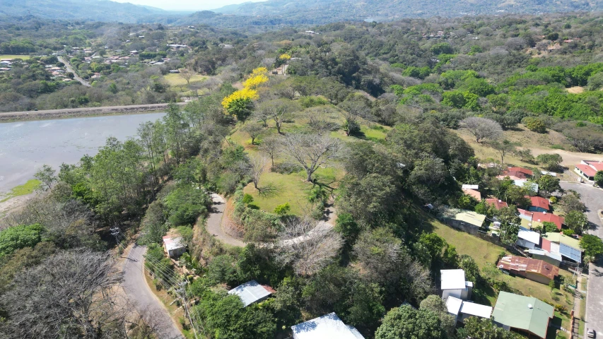 an aerial s of a town and trees near the water