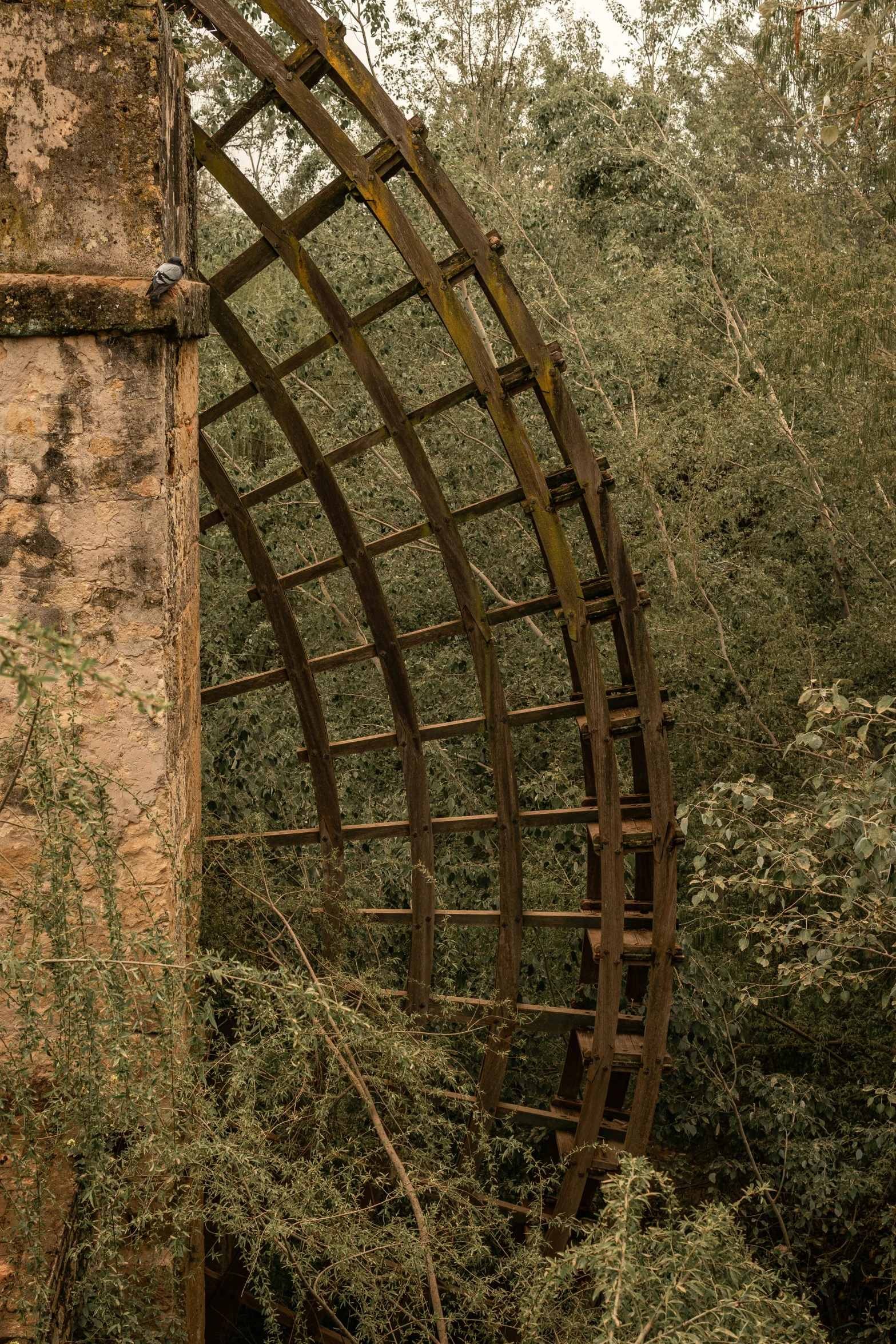 a spirally designed metal structure in a forest