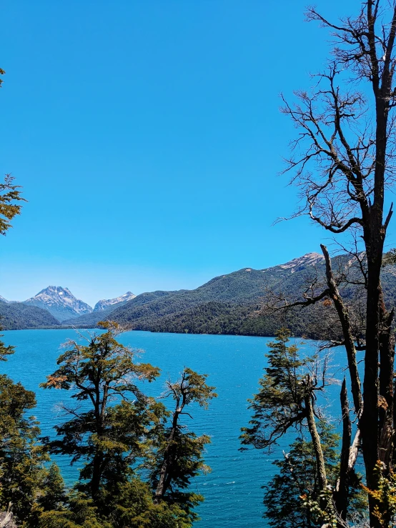 the view of trees and mountain across the lake