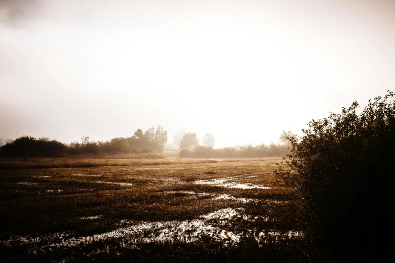 a large field with water that is muddy