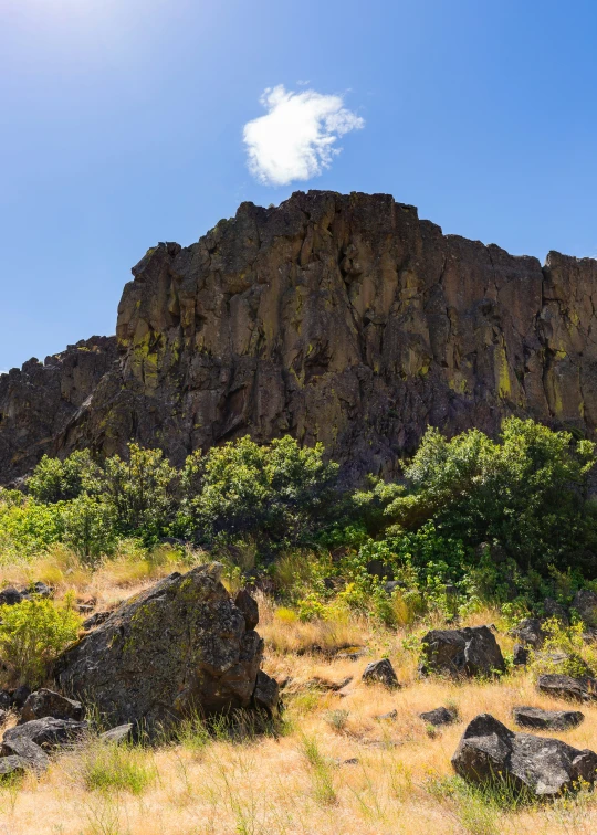 a mountain that is surrounded by green shrubs