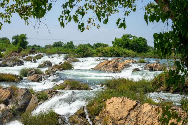 a body of water near rocks with plants growing on it