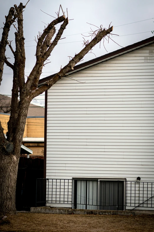 this is an empty tree next to a house