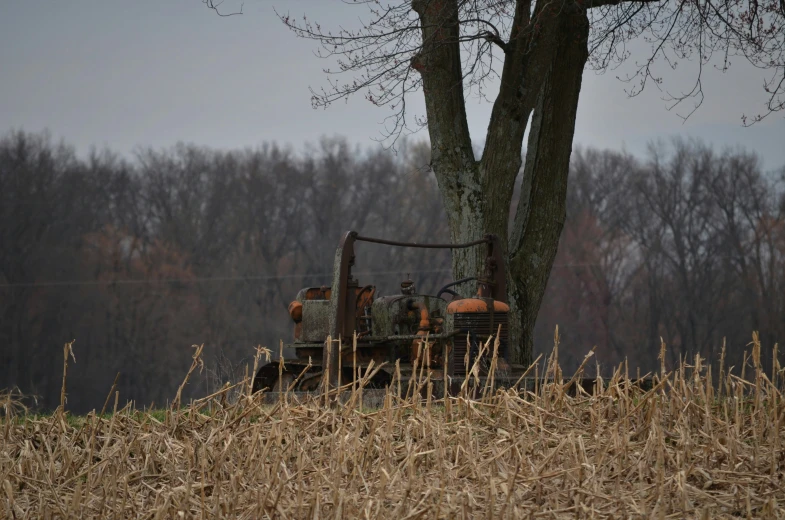 old farmall and trailer at a field by the trees