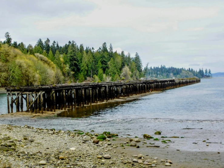 a dock on the side of the water near trees