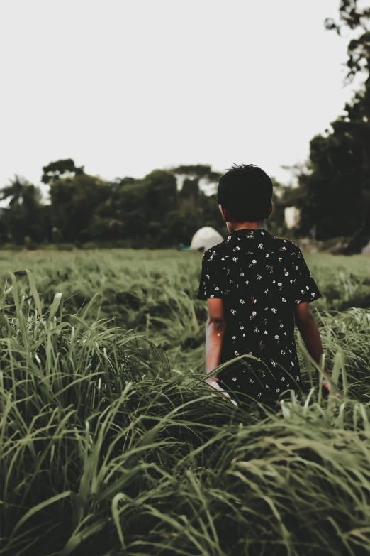 a person in a field with tall grass