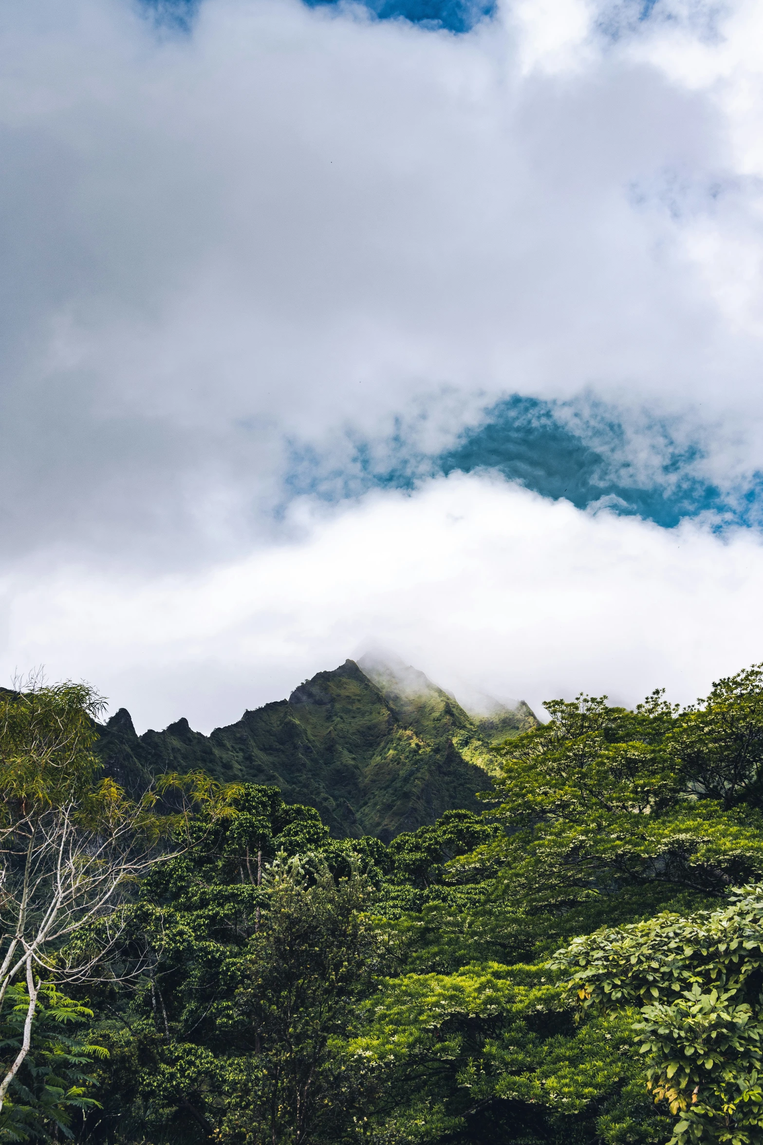 green mountains and blue sky in the distance