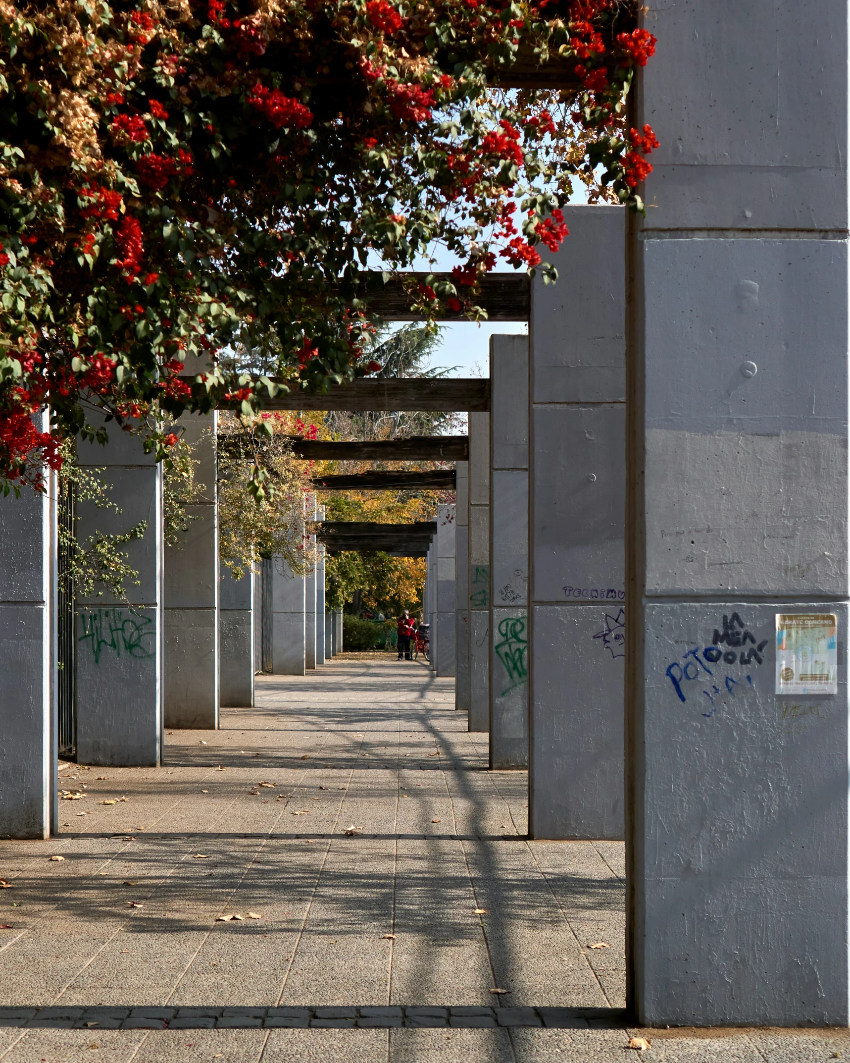 some grey and red flowers buildings bushes and trees