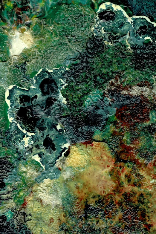 an aerial view of the earth and trees