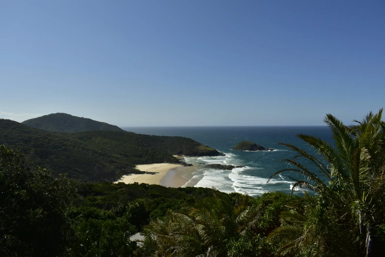 a picture of a beach surrounded by forest on a clear day