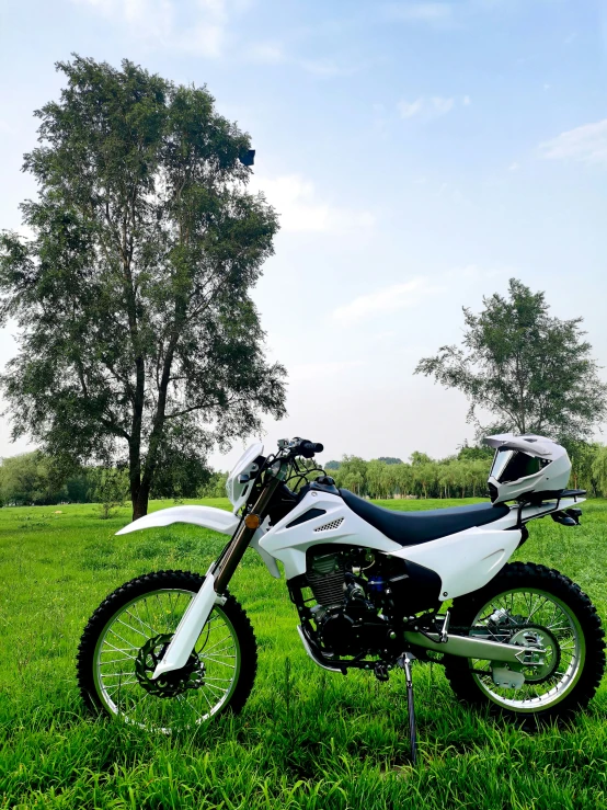 a motorcycle is sitting in a grassy field