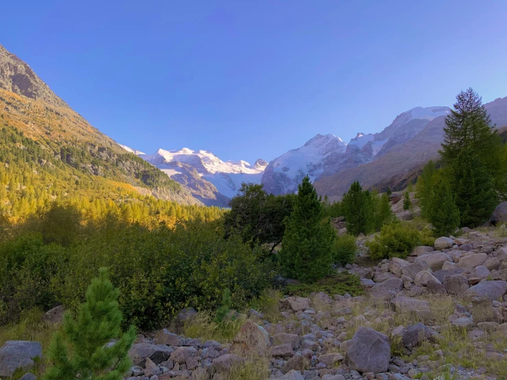 a valley with a tree lined mountain on both sides