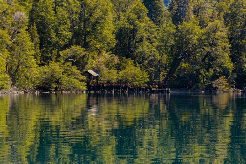 a lake in the middle of some forest with a bridge over it