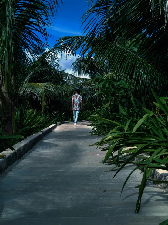 a person walks down the sidewalk in front of palm trees