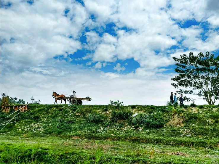 two people stand in front of horses that are standing on top of a hill