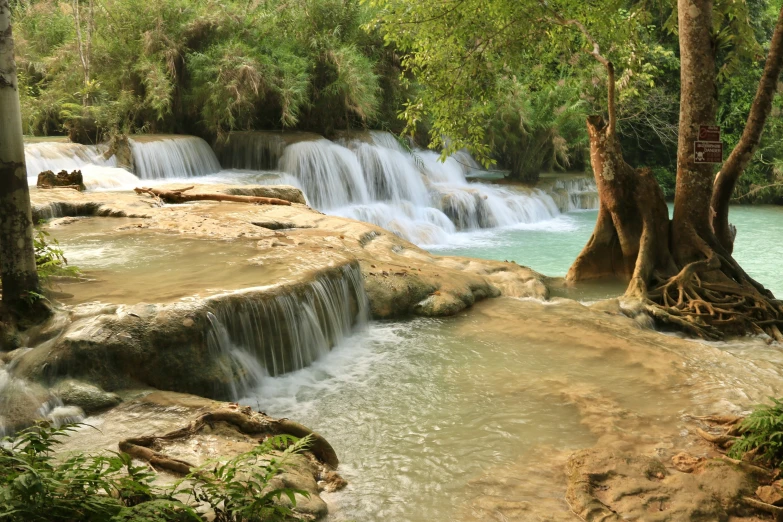 some water falls and trees and the water