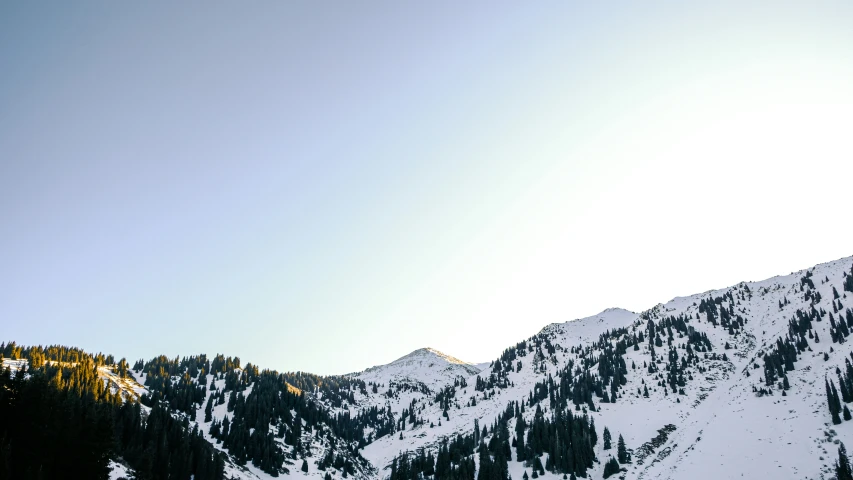 some hills covered with trees are in the distance