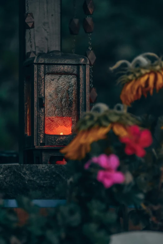 a fire burning in a small stove with flowers next to it