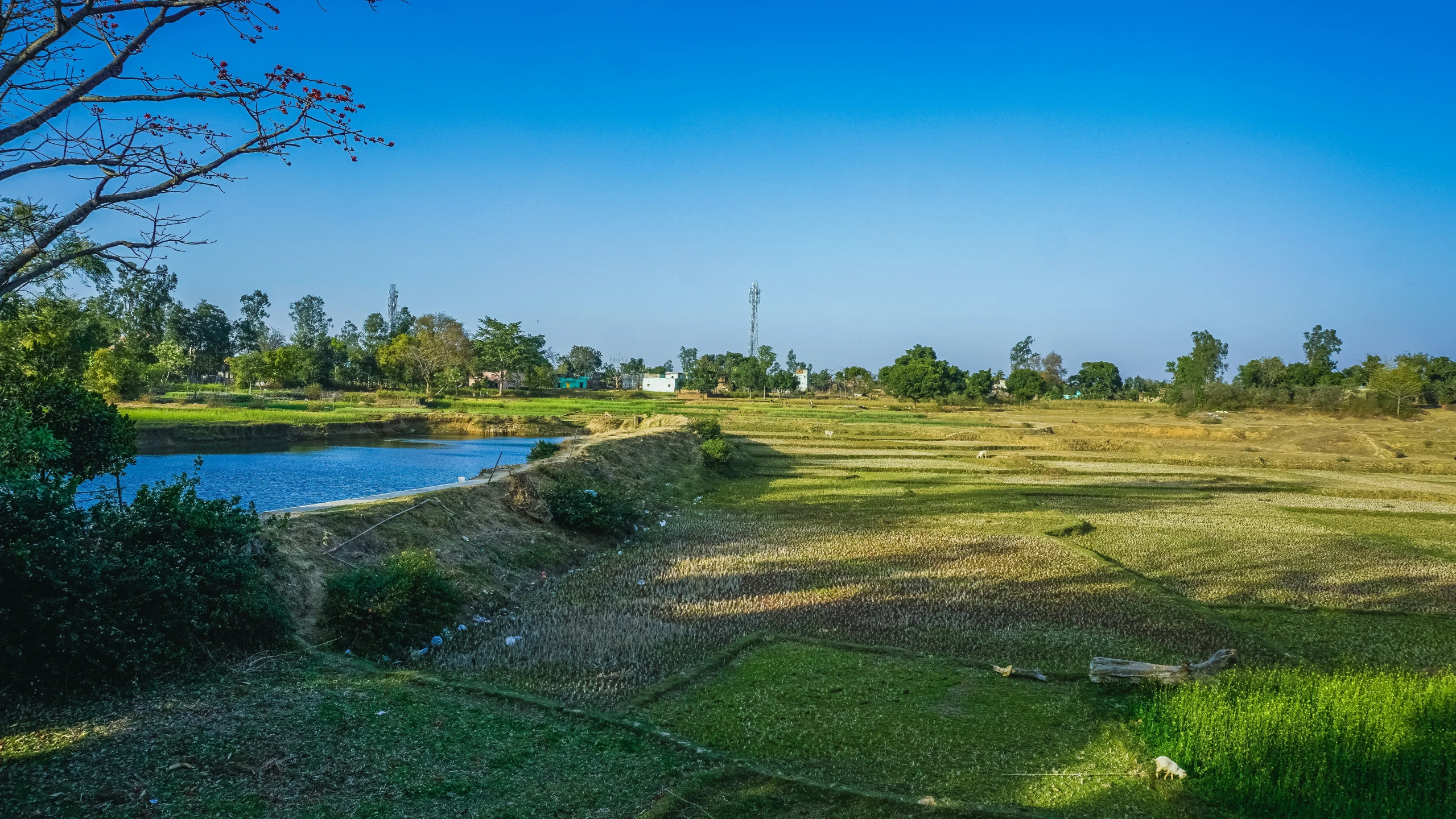 a lake sitting on the side of a lush green field