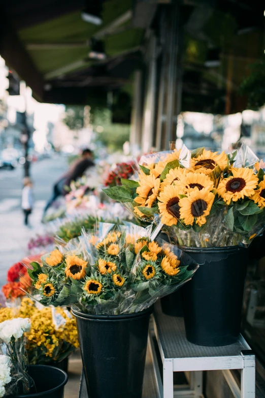 sunflowers in buckets for sale on the side of the street