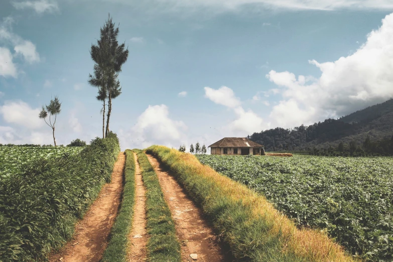 an image of an open field with the house in the background