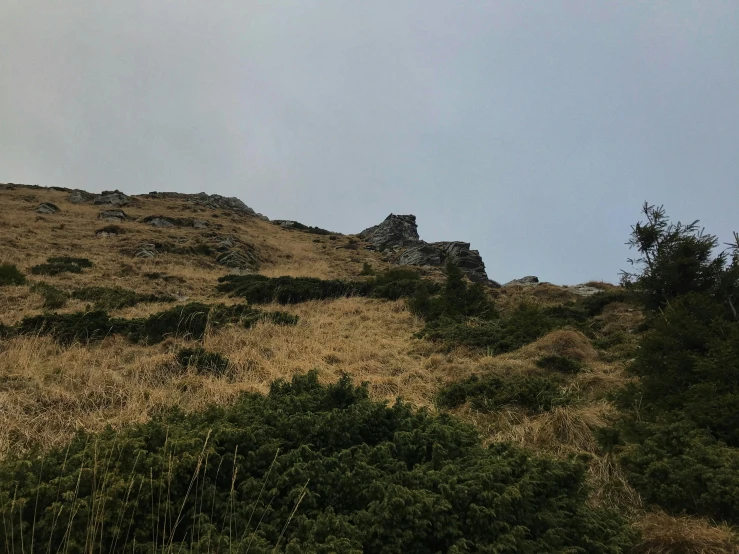 an image of a hill with hills in the background